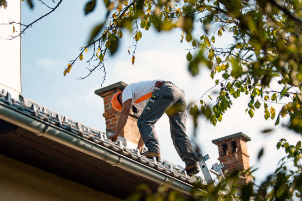 Best Roof Repair Services  in Keokuk, IA