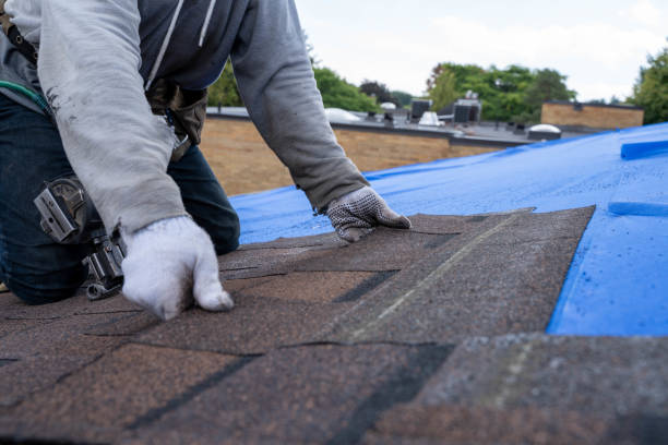 Best Storm Damage Roof Repair  in Keokuk, IA
