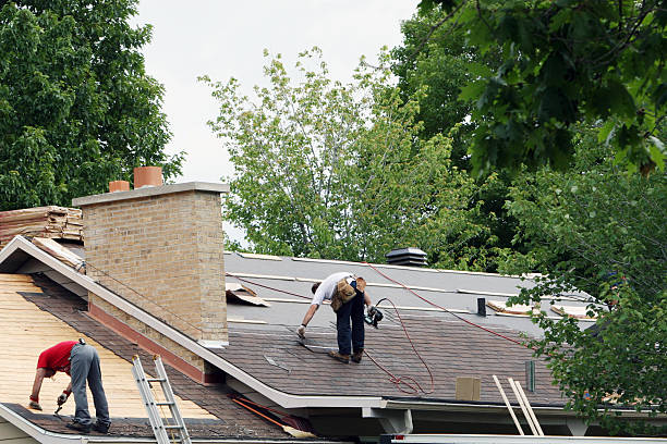 Best Roof Gutter Cleaning  in Keokuk, IA