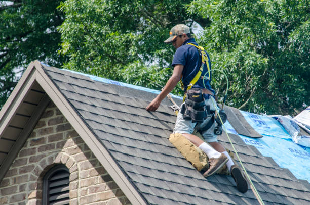 Best Roof Gutter Cleaning  in Keokuk, IA